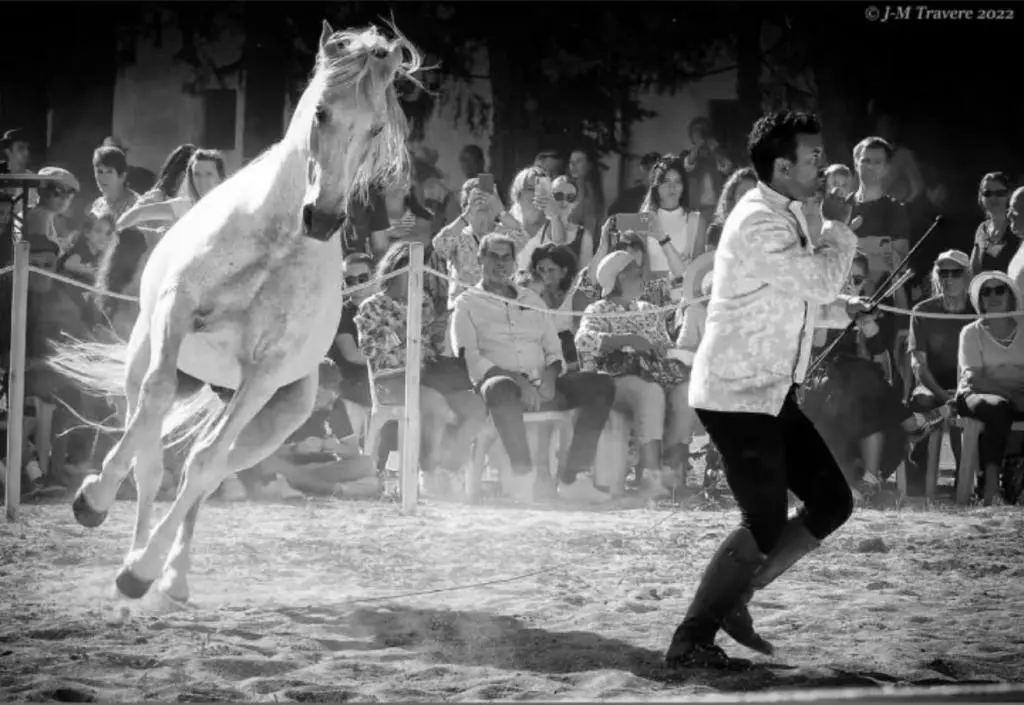 Vincent liberator big show