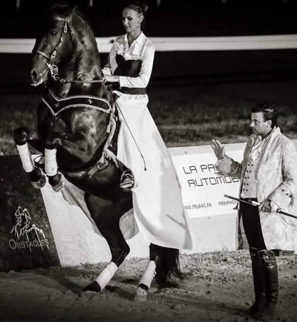 Vincent liberator equestrian