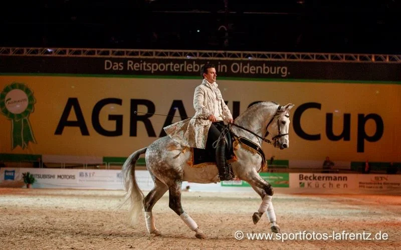 haute école vincent liberator